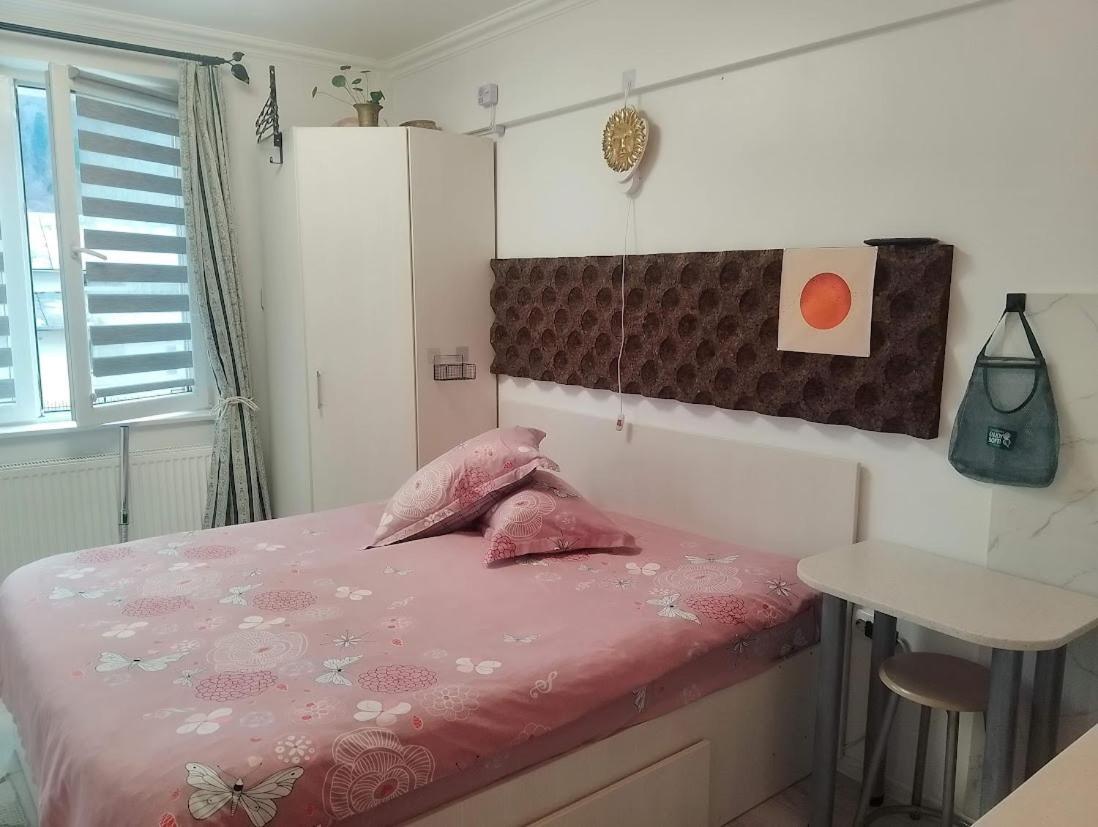 1 Small Studio, Central, Self Check In Sinaia Bagian luar foto